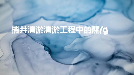 機井清淤清淤工程中的關(guān)鍵技術(shù)與實踐探討，你能否了解其背后的秘密與挑戰(zhàn)？